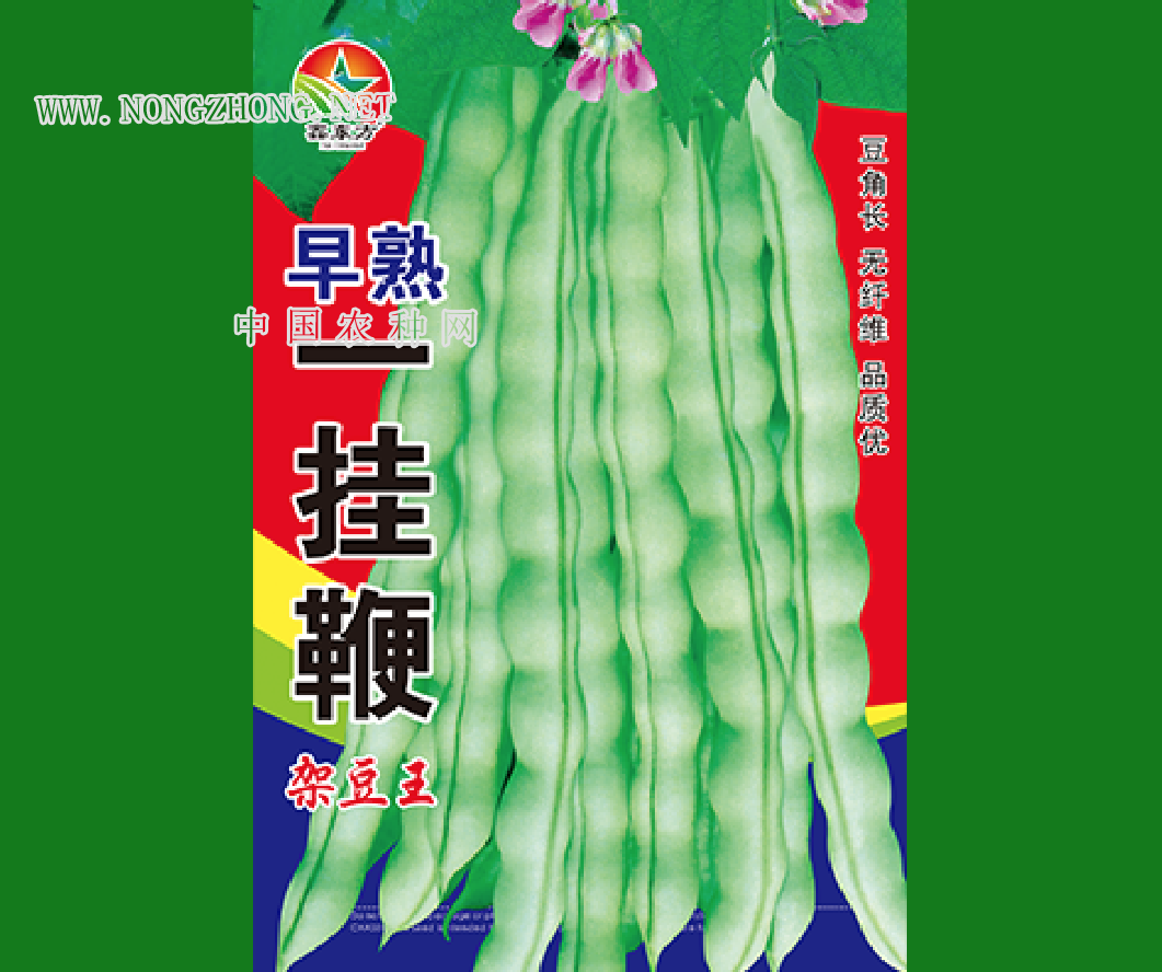 早熟一挂鞭